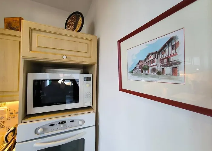 Appt Exceptionnel-spacieux-vue Plage-garage Appartamento Hendaye